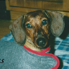 Gus 1999-2015